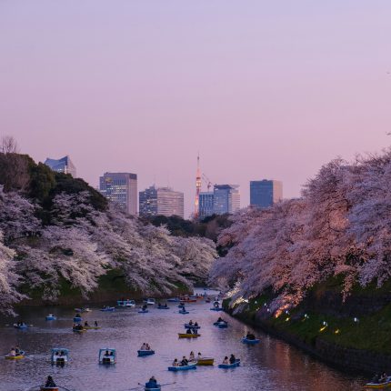 Explore Tokyo